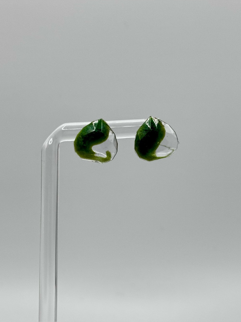 Danty Leafy Green Accent Resin Stud Earrings - Minimal Women’s Jewelry